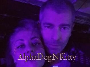 AlphaDogNKitty