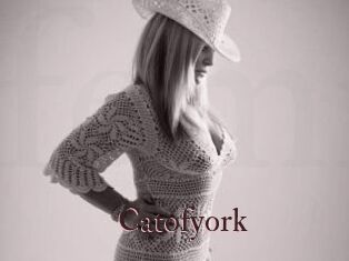 Catofyork