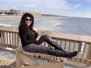 Cougarv