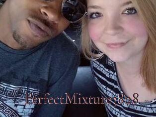 PerfectMixture3828
