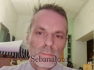 Sebanal001