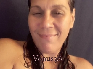 Venus36c