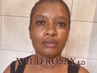 WILD_ROSEY40